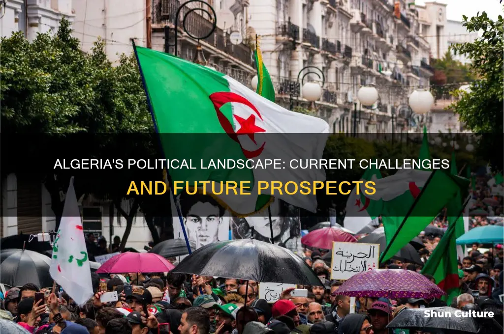 what is the current political situation in algeria