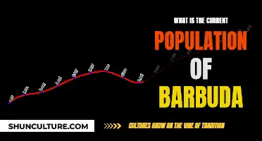 The Population of Barbuda: Current Numbers and Insights