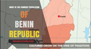 Exploring the Demographics: Benin Republic's Current Population Insights