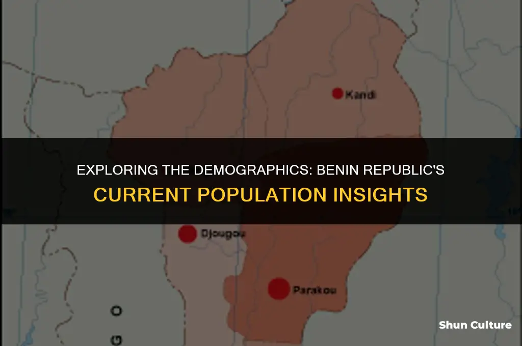 what is the current population of benin republic