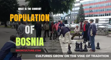 Bosnia's Population Today: Current Demographics and Growth Trends Explained
