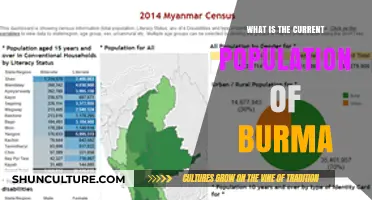 Unveiling Myanmar: A Glimpse into the Country's Current Population