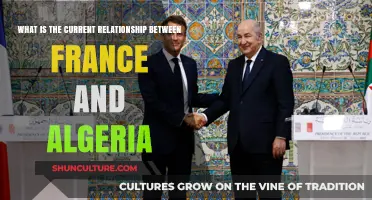 France and Algeria: Navigating Complex Historical and Modern Ties