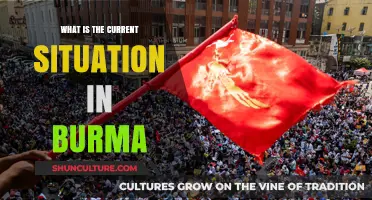 Unraveling the Complexities: Burma's Current Political Landscape