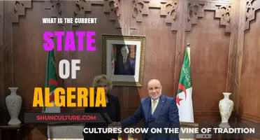 Algeria Today: Politics, Economy, and Social Dynamics in 2023