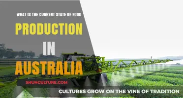 Australian Food Production: Current State and Future Outlook