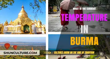 Exploring Myanmar's Climate: A Real-Time Temperature Update