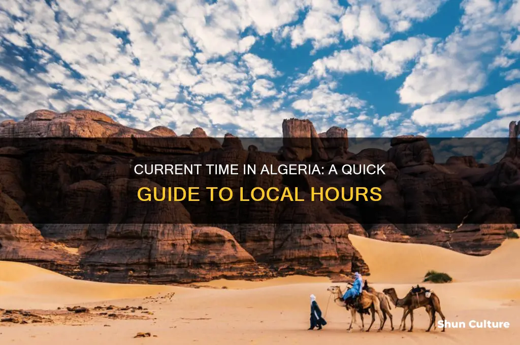 what is the current time in algeria