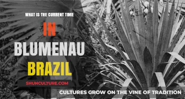 Discover Blumenau, Brazil's Local Time: A Quick Guide