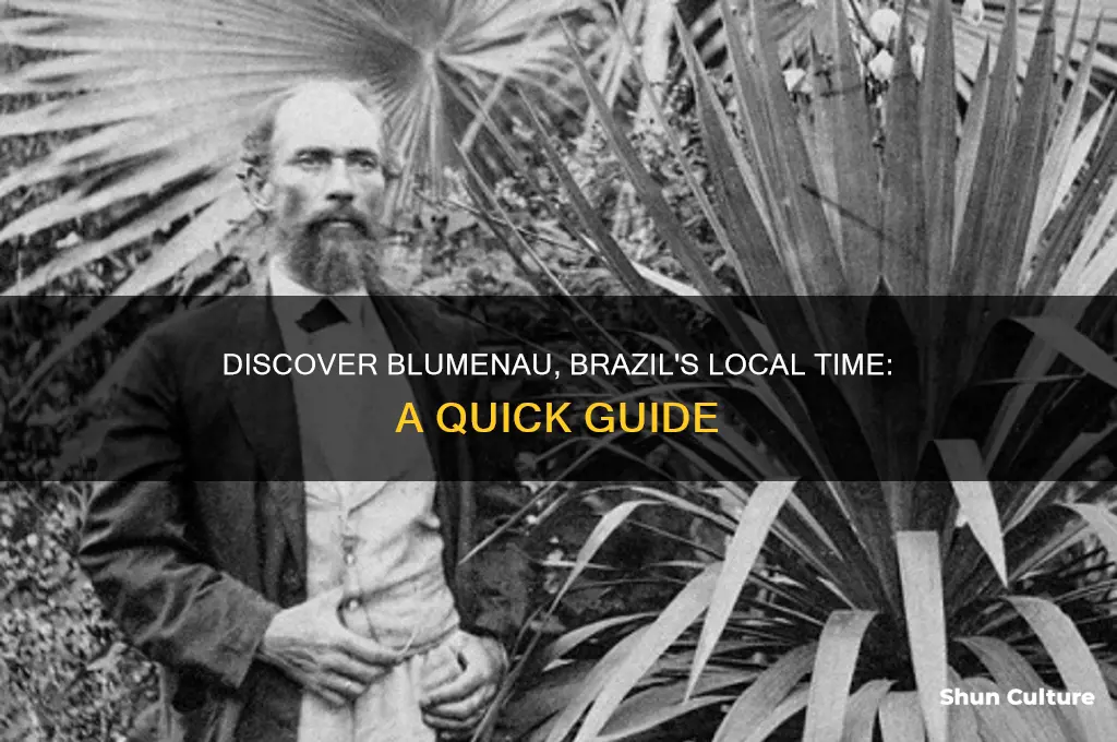 what is the current time in blumenau brazil
