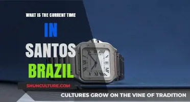 Current Time in Santos, Brazil: A Quick and Easy Guide