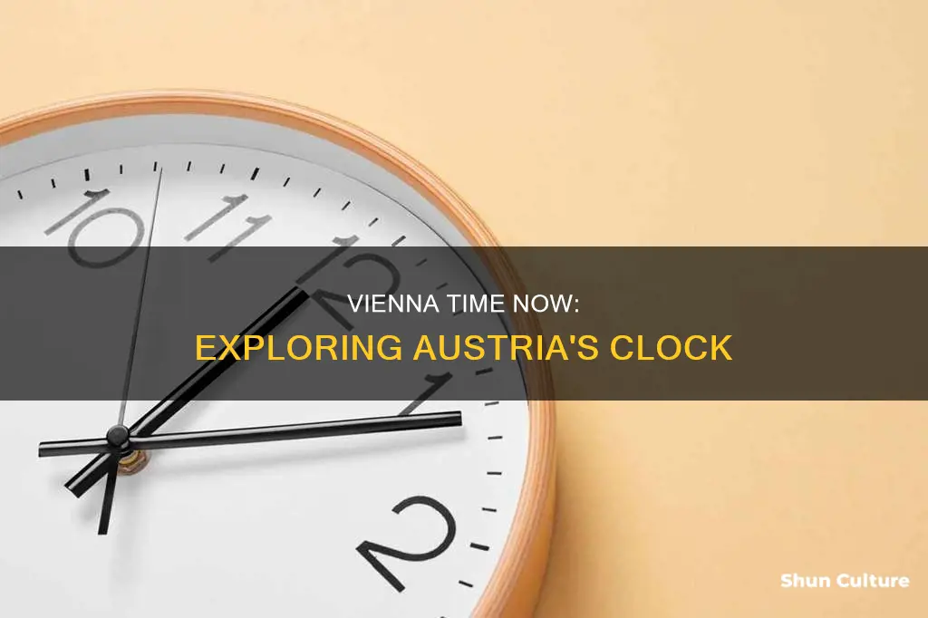 what is the current time in vienna austria