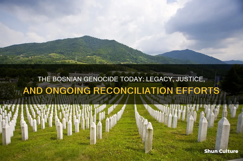 what is the currents state of the bosnian genocide