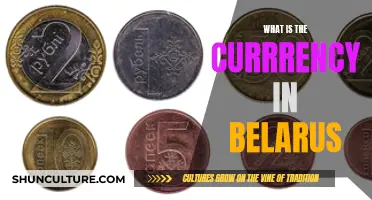 Belarusian Currency: What You Need to Know