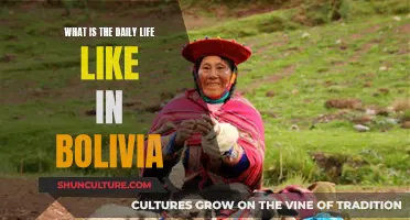 Exploring Bolivia: Daily Life and Culture