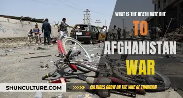 The Human Toll of the Afghanistan War: Examining the Fatality Rates