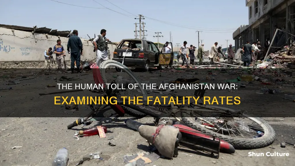 what is the death rate due to afghanistan war