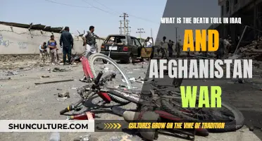 The Human Cost of War: Examining the Iraq and Afghanistan Death Toll