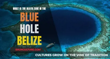 The Blue Hole's Deadliest Secret: Unveiling the Death Zone