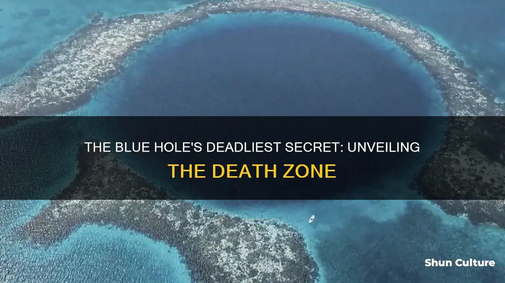 what is the death zone in the blue hole belize