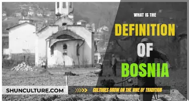 Understanding Bosnia: A Comprehensive Definition of Its Culture and History