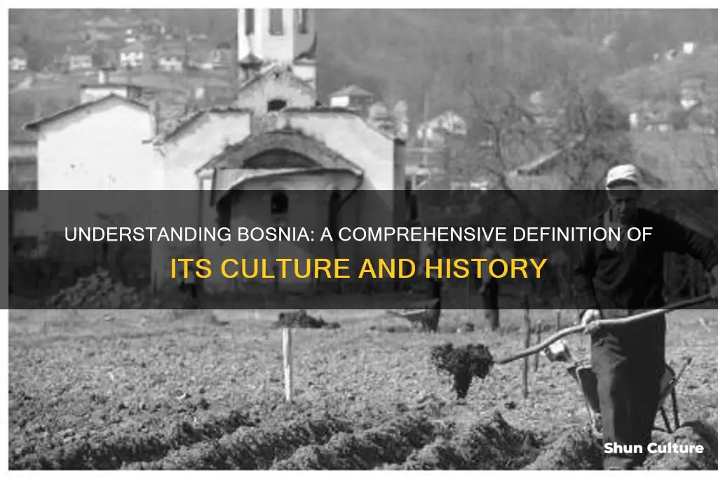 what is the definition of bosnia