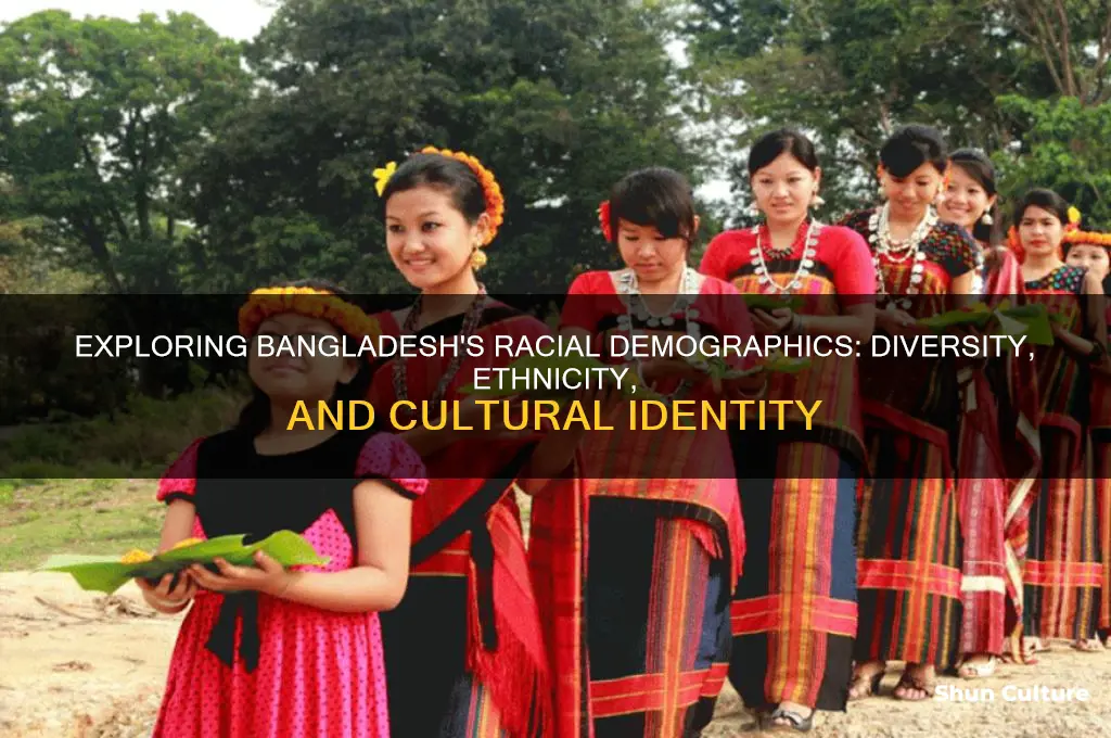 what is the demographics of race in bangladesh