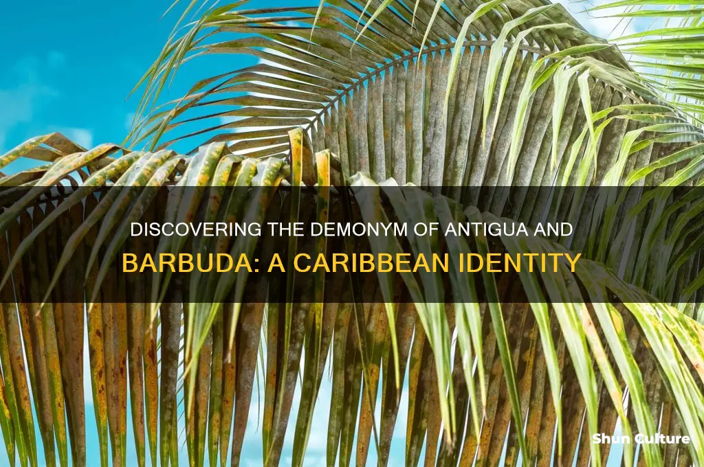 what is the demonym of antigua and barbuda
