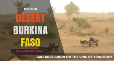 Exploring the Desert Landscapes of Burkina Faso