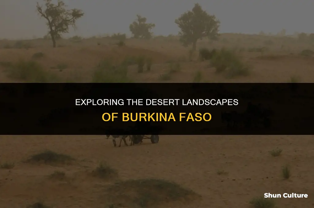 what is the desert burkina faso