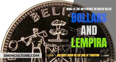 Belize Dollars and Lempira: Understanding the Difference