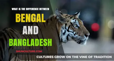 Bengal vs. Bangladesh: Unraveling the Historical and Cultural Differences