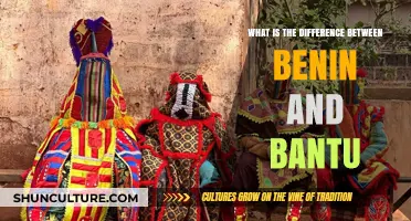 Exploring the Distinctions: Benin vs. Bantu Cultural Insights