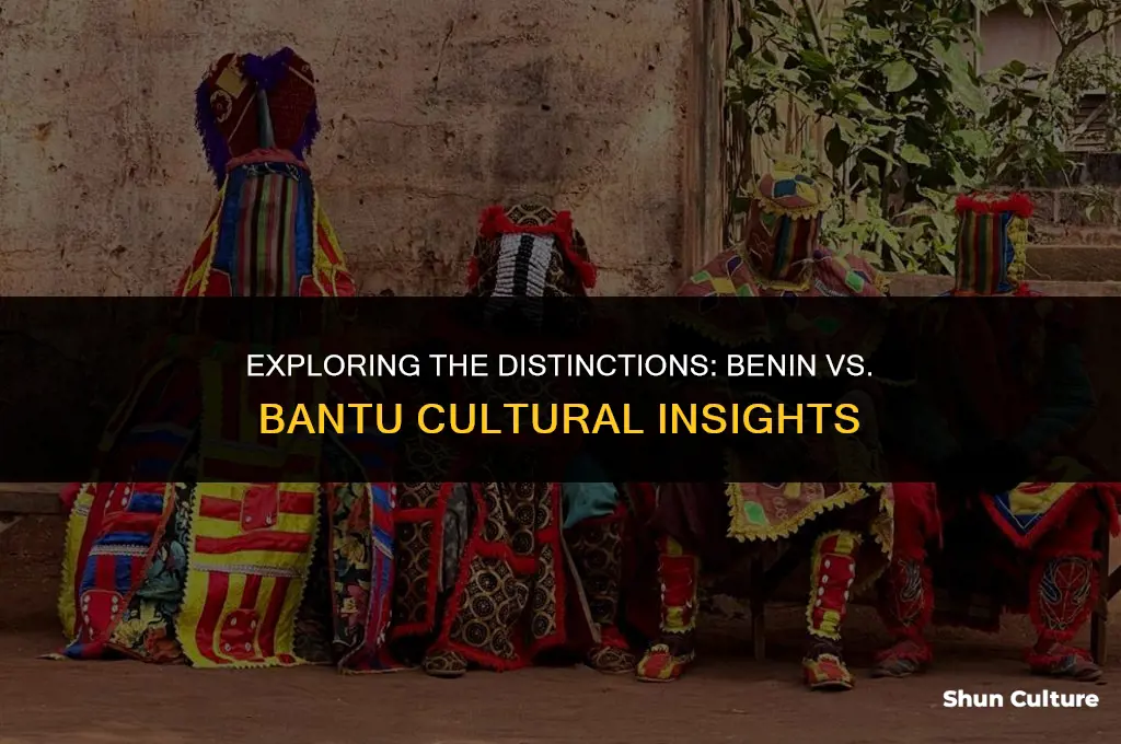 what is the difference between benin and bantu