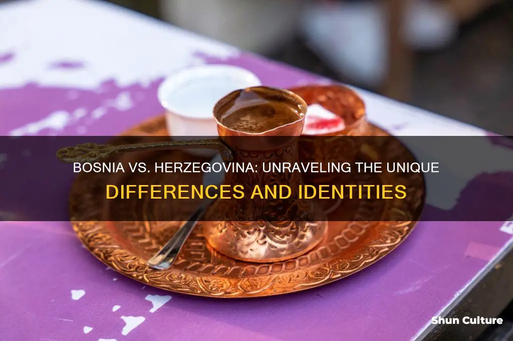 what is the difference between bosnia and herzegovina