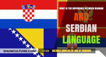Bosnian vs. Serbian: Unraveling the Linguistic Differences and Similarities
