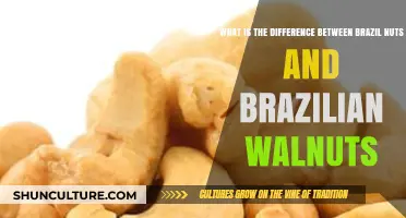 Brazil Nuts vs. Brazilian Walnuts: Uncovering the Nutty Differences
