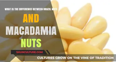 Brazil Nuts vs. Macadamia Nuts: Nutritional Differences and Culinary Uses