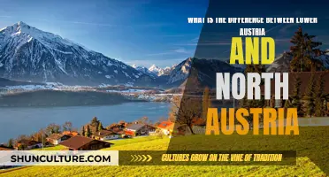 Exploring the Contrasts: Lower Austria vs. North Austria