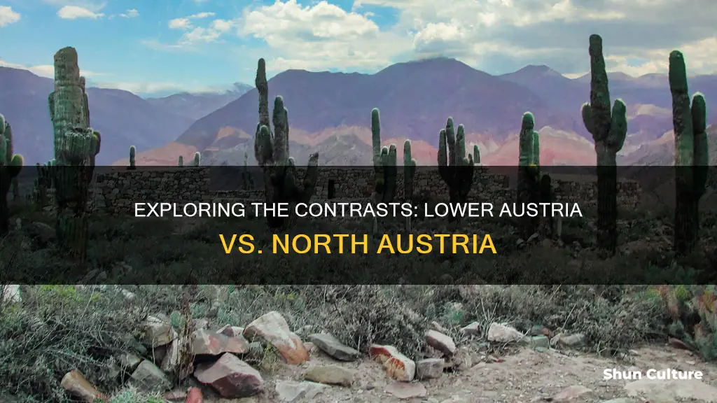 what is the difference between lower austria and north austria