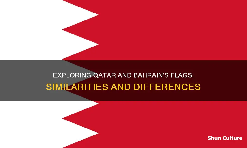 what is the difference between qatar flag and bahrain flag