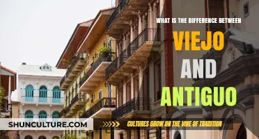 Viejo vs. Antiguo: Understanding the Nuances in Spanish Age Terminology