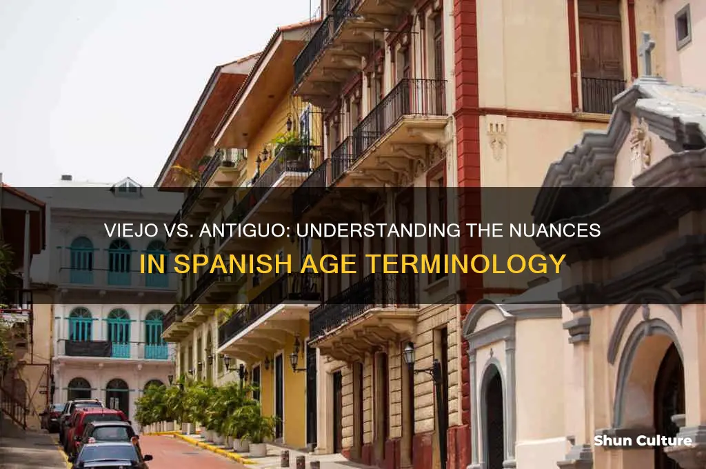 what is the difference between viejo and antiguo
