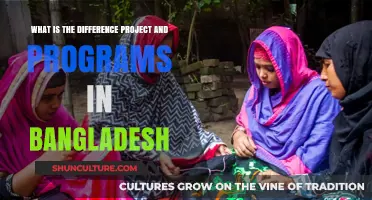 Projects vs. Programs: Understanding Key Differences in Bangladesh's Development