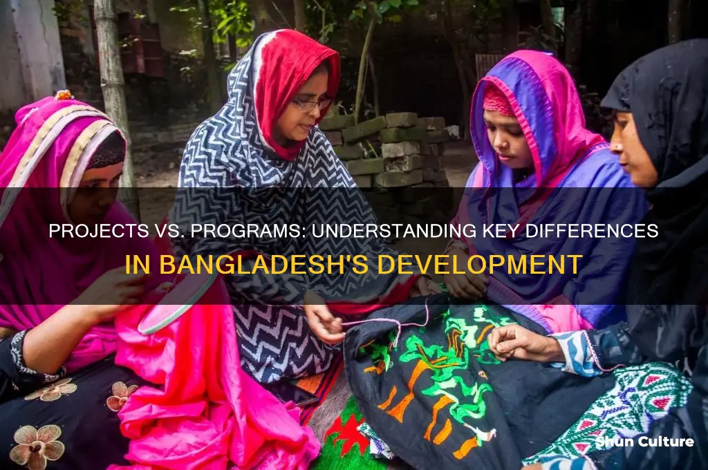 what is the difference project and programs in bangladesh