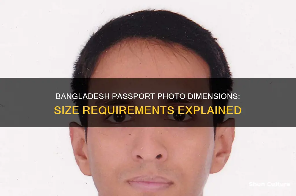 what is the dimension of passport size photo in bangladesh