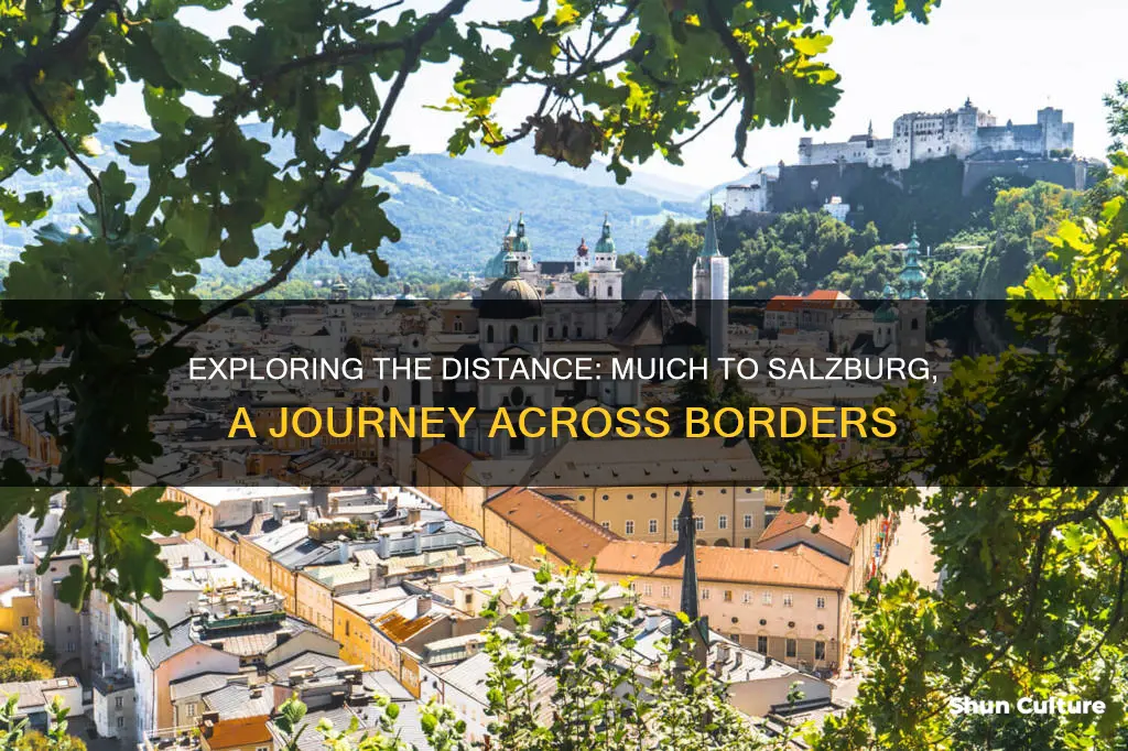 what is the distance from muich germany to salzburg austria