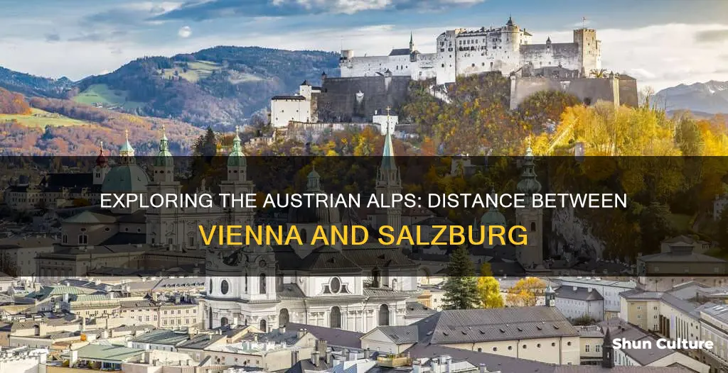 what is the distance from vienna to salzburg austria