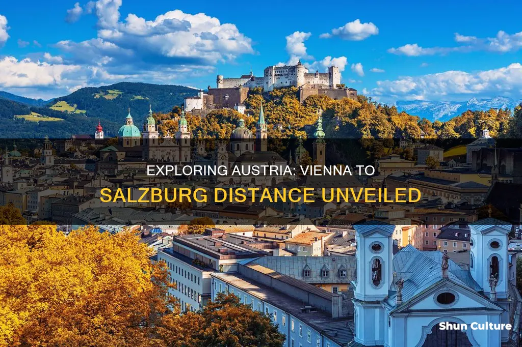 what is the distance from vienna to salzburg austria