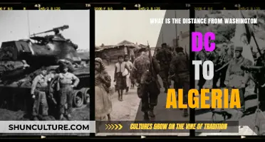 Exploring the Distance: Washington DC to Algeria's Capital